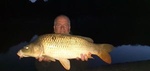 Common Carp