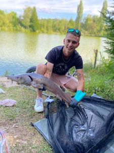 Sturgeon