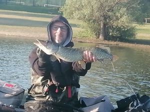 Northern Pike