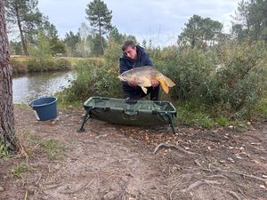 Mirror Carp