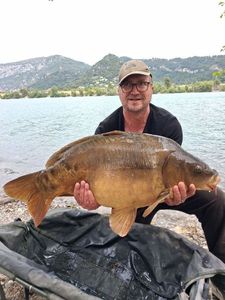 Mirror Carp