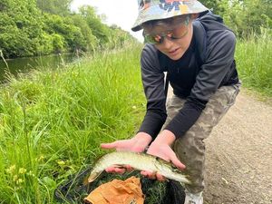 Northern Pike