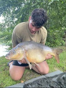 Mirror Carp