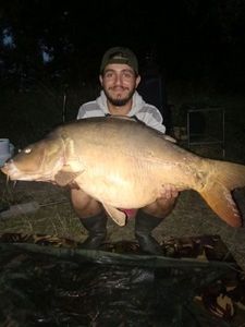 Mirror Carp