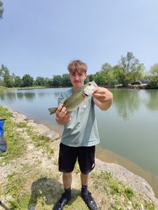 Largemouth Bass