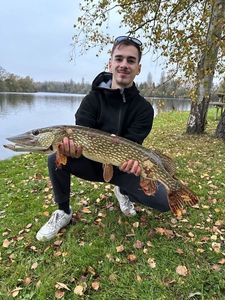Northern Pike