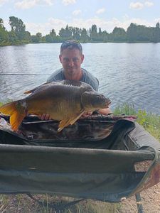 Mirror Carp