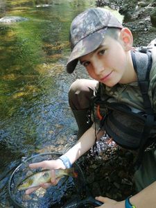 Brown Trout