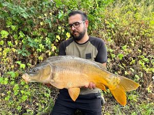 Mirror Carp
