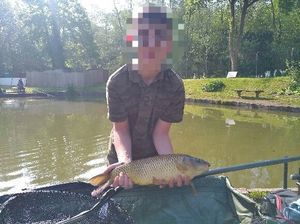 Common Carp