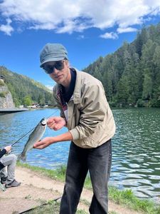 Cutthroat Trout