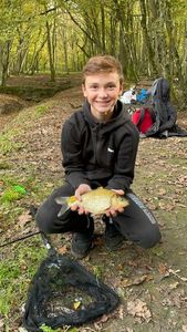 Crucian Carp