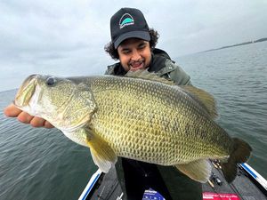 Largemouth Bass