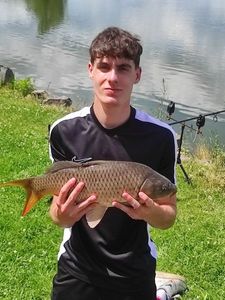 Crucian Carp