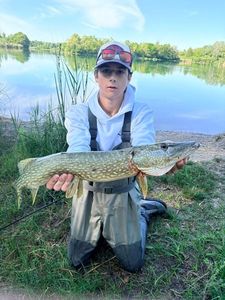 Northern Pike
