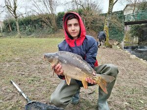 Mirror Carp