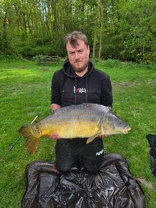 Mirror Carp