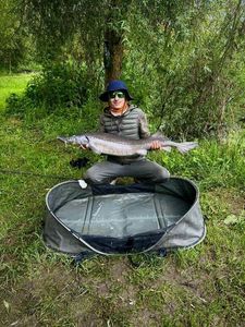 Sturgeon