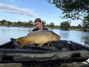 Mirror Carp