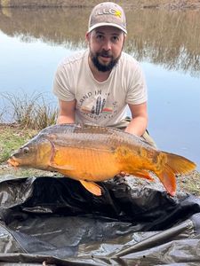 Mirror Carp