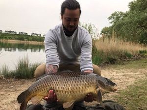 Common Carp