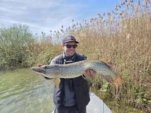 Northern Pike