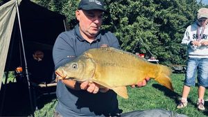 Mirror Carp