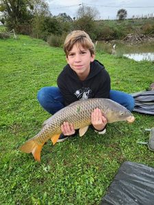 Common Carp