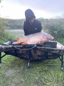 Mirror Carp