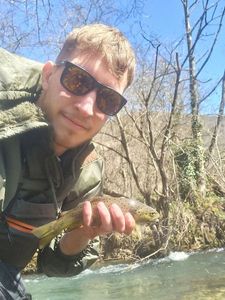 Brown Trout