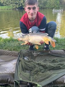 Mirror Carp
