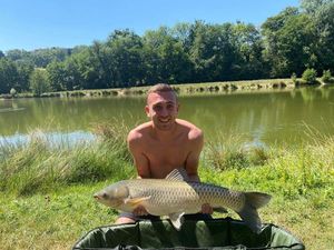 Grass Carp