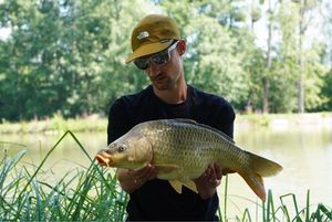 Common Carp