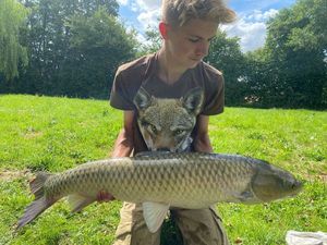 Grass Carp