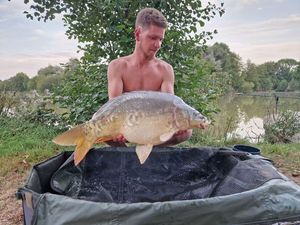 Mirror Carp