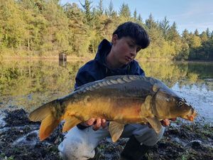 Mirror Carp