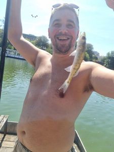 Zander