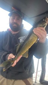 Walleye