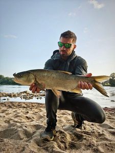 Asp