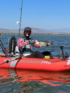 Largemouth Bass