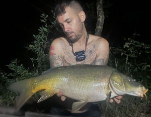 Mirror Carp
