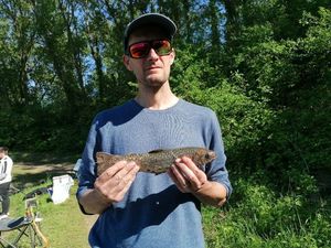 Brook Trout