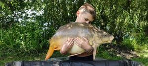 Mirror Carp