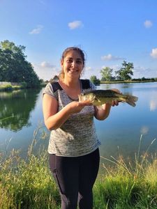 Smallmouth Bass
