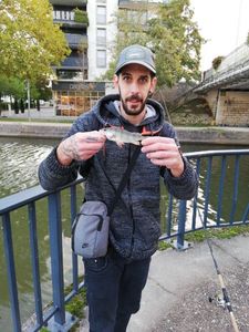 European Perch
