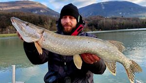 Northern Pike