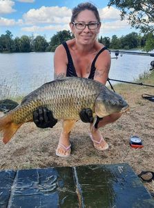 Common Carp