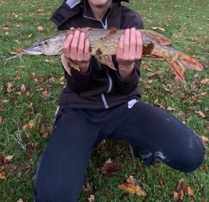 Northern Pike