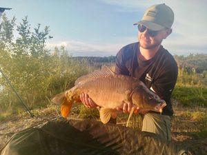 Mirror Carp