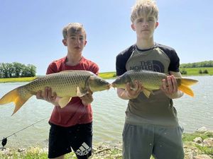 Common Carp
